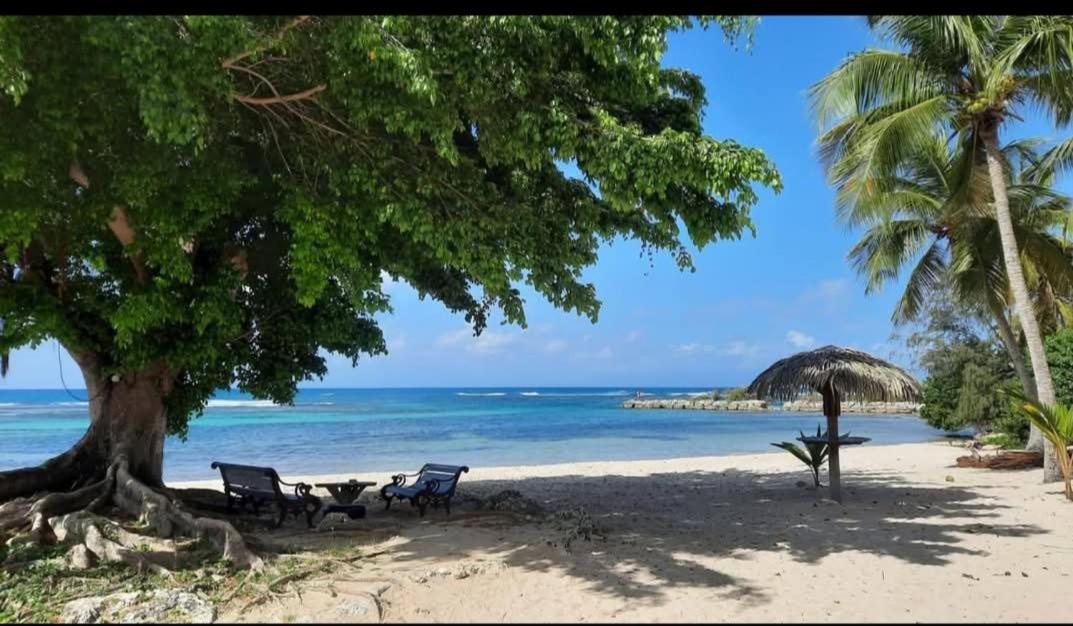 Chamb'Bouchons Saint-Francois (Grande-Terre) Exterior foto